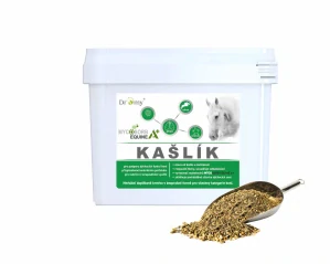 Dromy Kašlík 21 dní