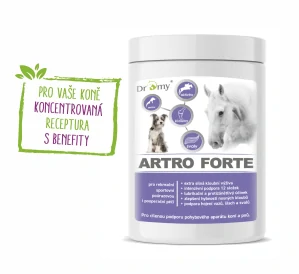 Dromy Artro Forte 900 g