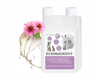 Dromy Echinacea sirup 1 l