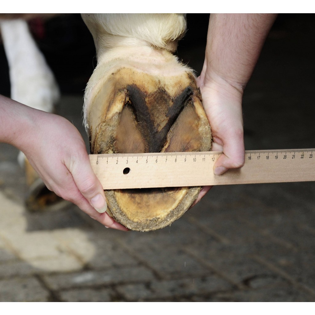 Botičky pro koně HKM vel. 6