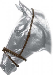 Nánosník podložený anglický