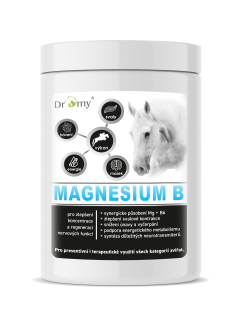Dromy Magnesium B 1 kg