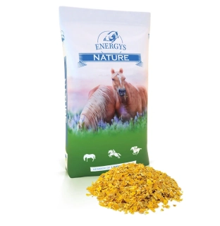 Energys Cornflakes 15kg
