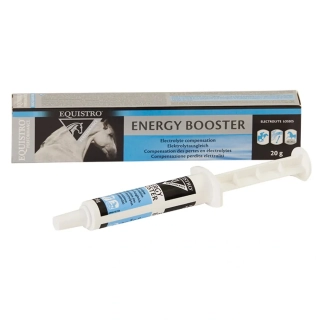 Energy Booster pasta Equistro 20g
